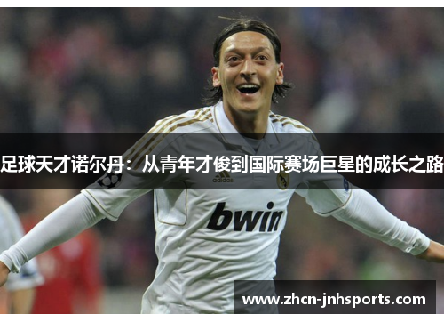 足球天才诺尔丹：从青年才俊到国际赛场巨星的成长之路